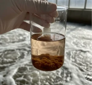 Bakteri IPAL Lo Mati Mulu? Cek Rasio F/M